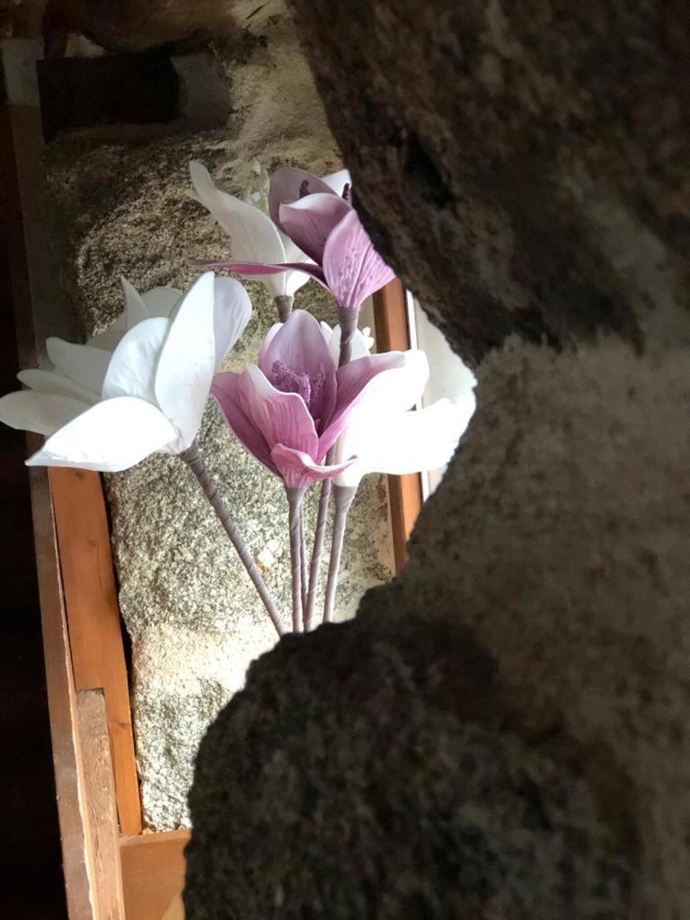 El Balconcillo Del Alberche Villa Navaluenga Buitenkant foto